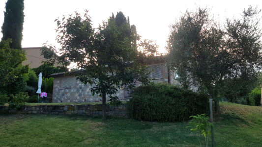 Cottage: Frontansicht