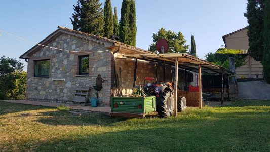 Cottage: Rückseite zum Garten
