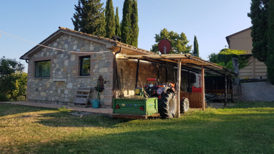 Cottage: Rückseite zum Garten