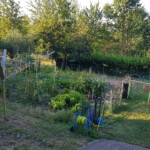 Wunderbares Gemüse und Früchte - 100% natürlich!