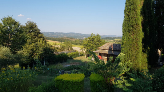 Blick über den Garten