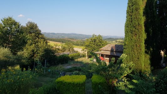 Blick über den Garten