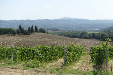 Blick zum Haus übers Feld