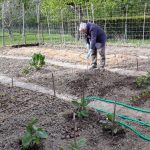 Es steckt viel Arbeit im Garten.